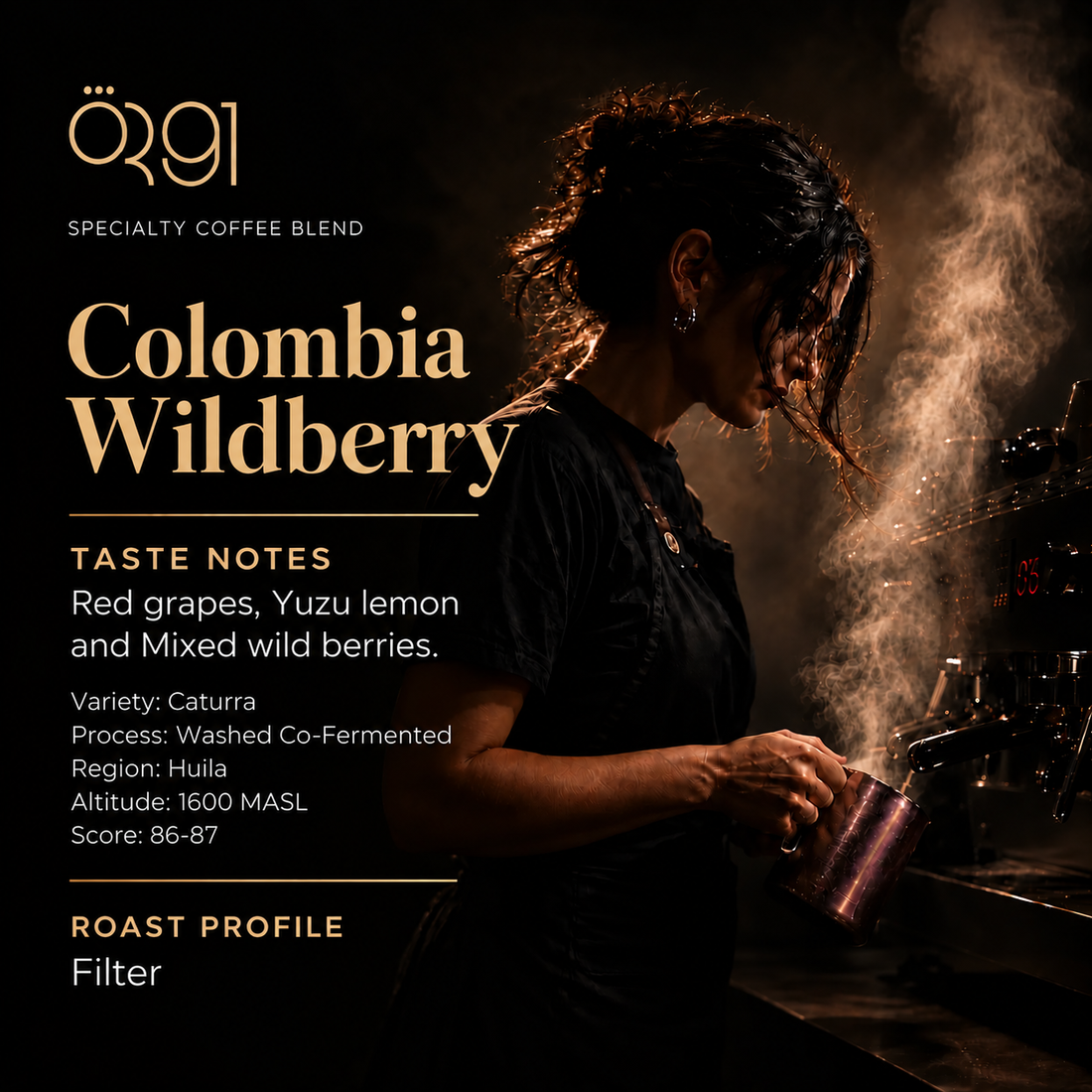 OR91 Colombia Wildberry Specialty Coffee Beans, Filter Roast, Limited Edition