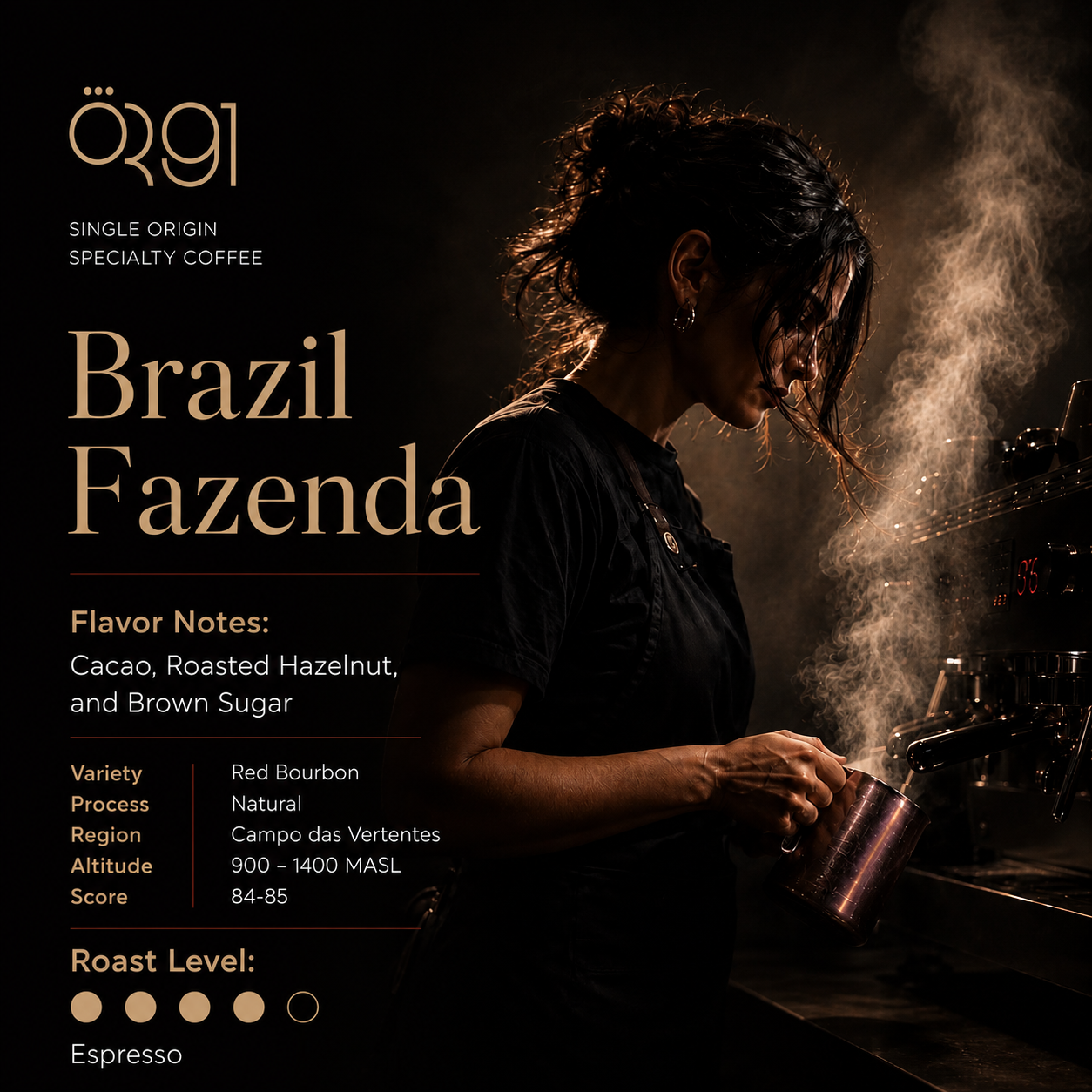 OR91 Brazil Fazenda Specialty Coffee Beans, Espresso Roast
