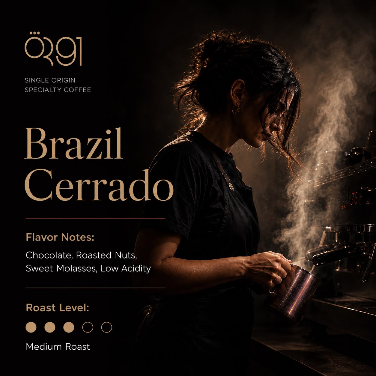OR91 Brazil Cerrado Specialty Coffee Beans, Medium Roast