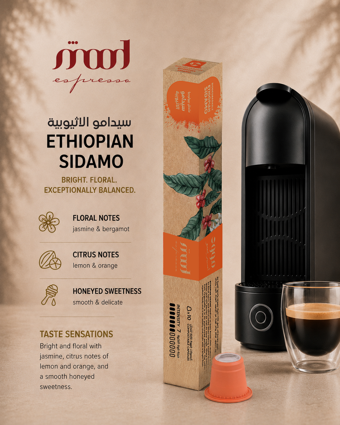 Ethiopian Sidamo